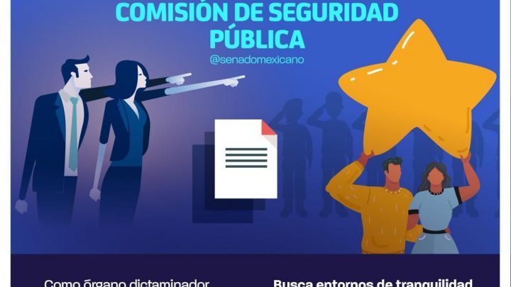 Conoce la función que realiza la Comisión de Seguridad Pública del Senado