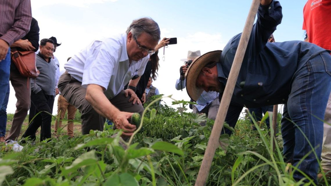 Tengamos siempre presente al campo, pues gracias a eso hay alimentos: Marcelo Ebrard