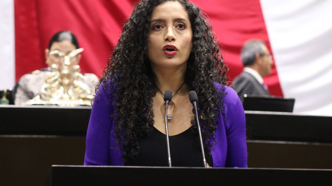 PRD no será cómplice del robo a la nación que orquestó morena y aliados: Edna Díaz Acevedo