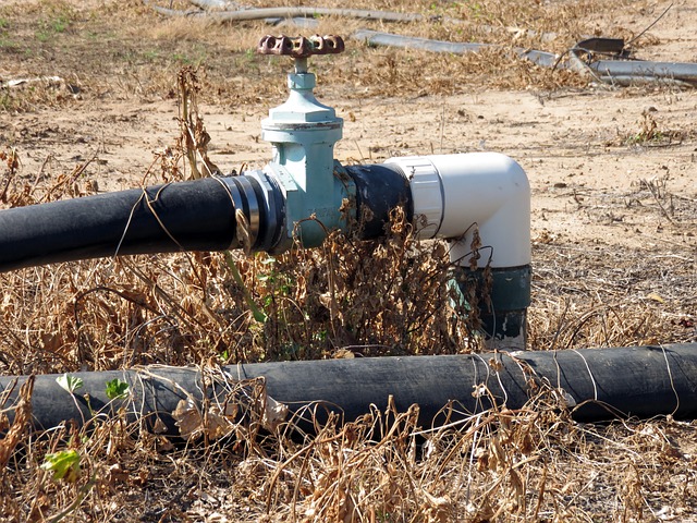 PTCDMX lanza llamado urgente a capitalinos para cuidar el agua; 77% de la población no tiene acceso