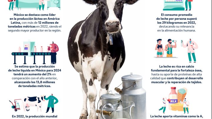 Día Mundial de la Leche: Conoce la importancia de la sanidad animal en la producción láctea